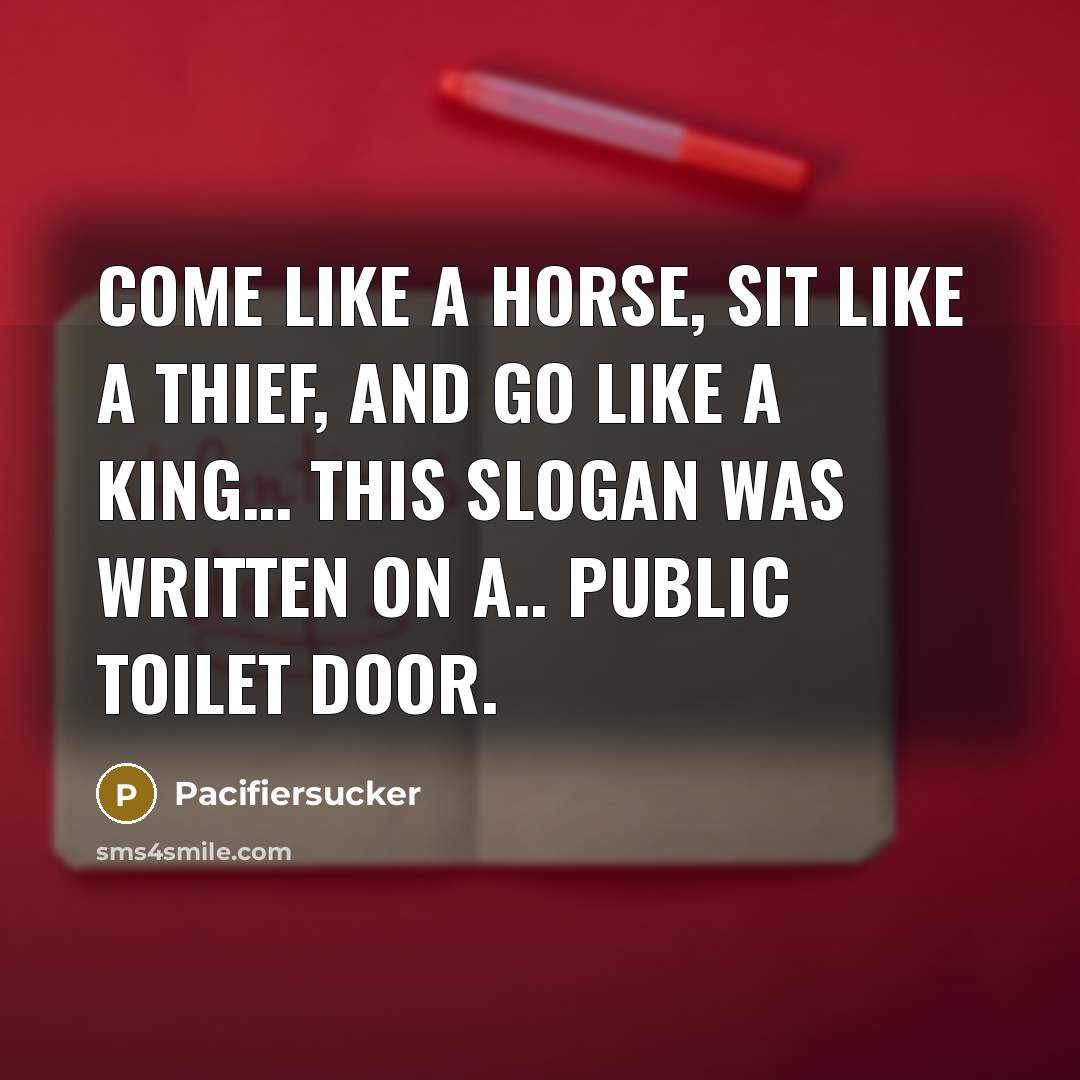 “Come like a Horse, Sit like a Thief, And Go…” quote by Pacifiersucker