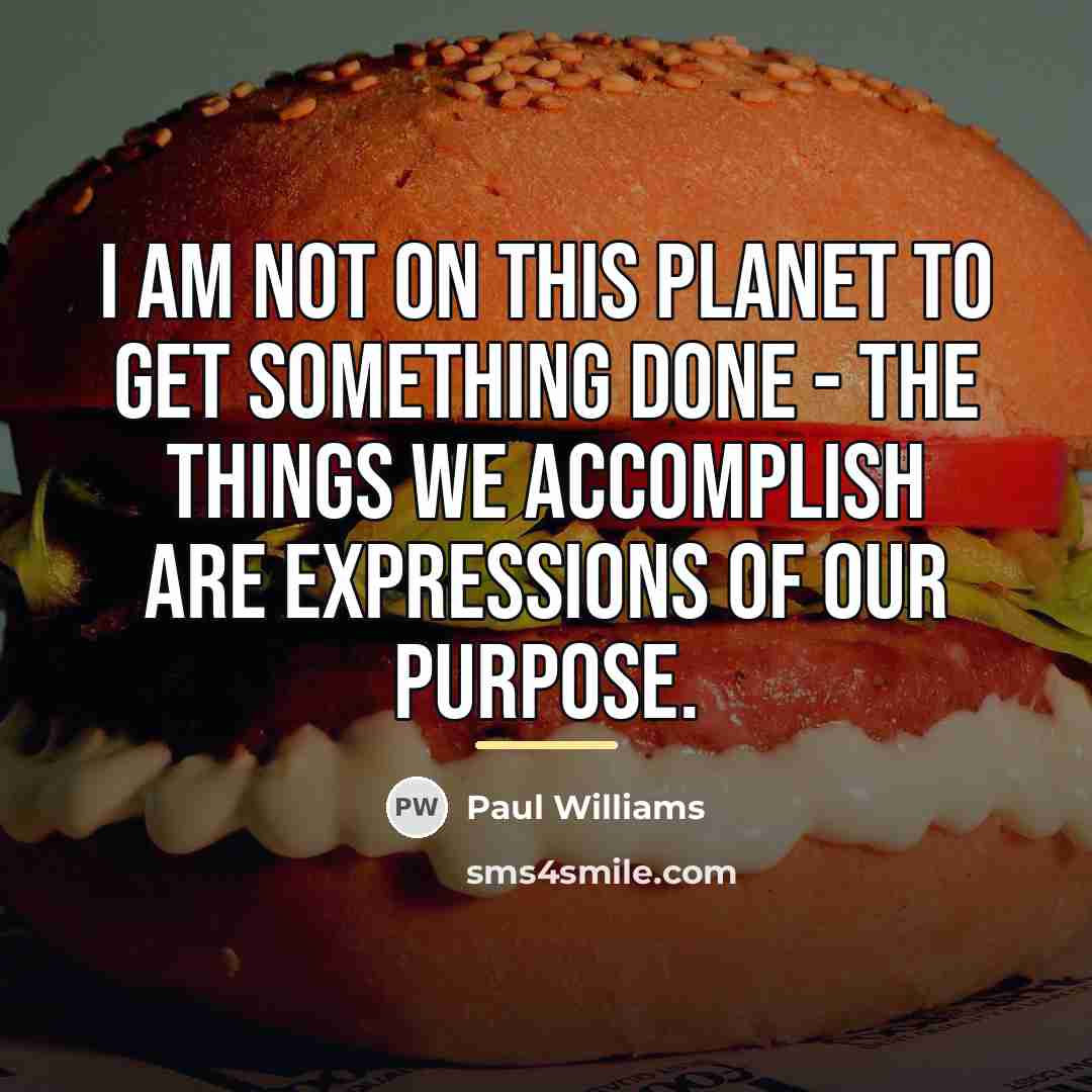 “I am not on this planet to get something done…” quote by Paul Williams