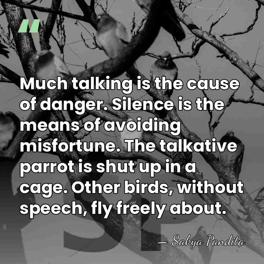 Much talking is the cause of danger. Silence is the means of&hellip; - Sakya Pandita
