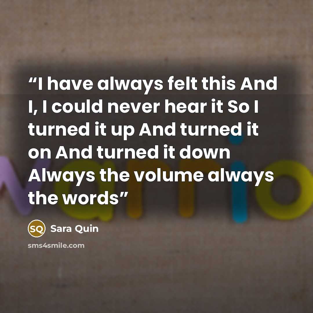 “I have always felt this And I, I could never hear it So I turned it up And turned it on And turned it down Always the volume always the words” quote by Sara Quin