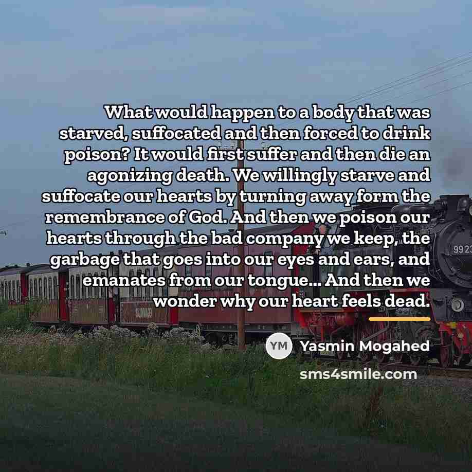 “What would happen to a body that was starved, suffocated…” quote by Yasmin Mogahed