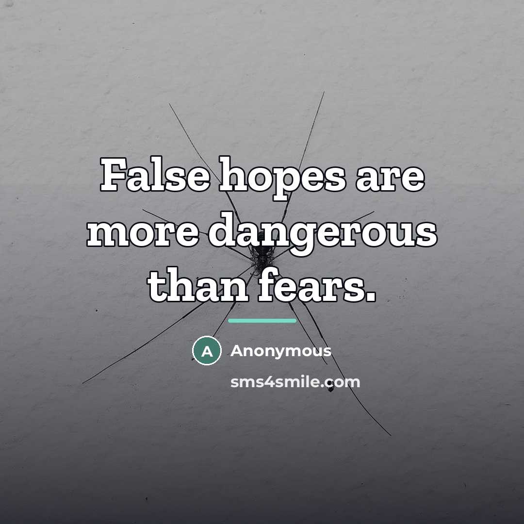 “False hopes are more dangerous than fears.…” quote by Anonymous