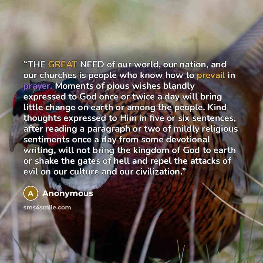 “THE GREAT NEED of our world, our nation, and our churches is people who know how to prevail in prayer. Moments of pious wishes blandly expressed to God once or twice a day will bring little change on earth or among the people. Kind thoughts expressed to Him in five or six sentences, after reading…” quote by Anonymous