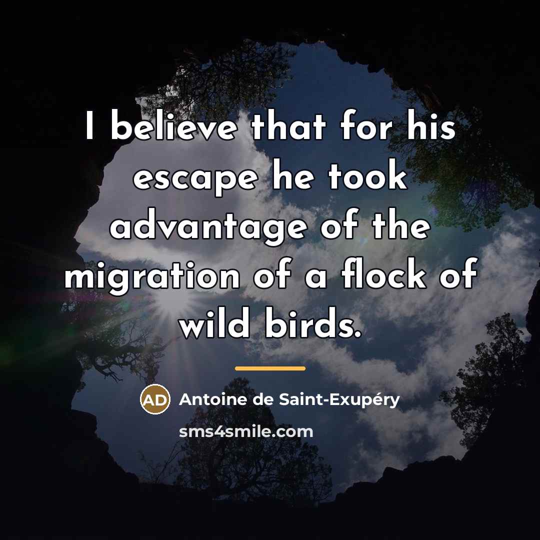 “I believe that for his escape he took advantage of…” quote by Antoine de Saint-Exupery