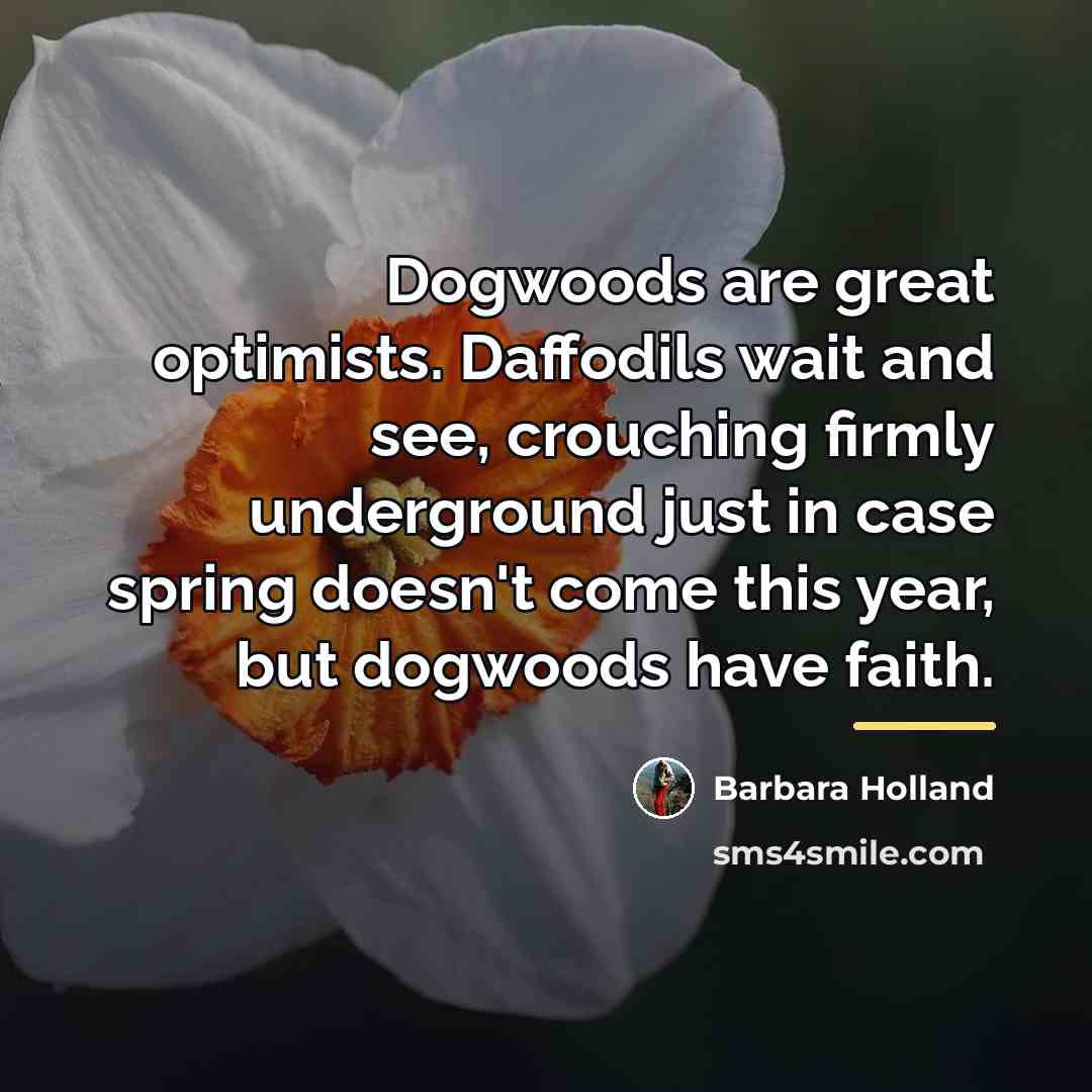 “Dogwoods are great optimists. Daffodils wait and see, crouching firmly…” quote by Barbara Holland