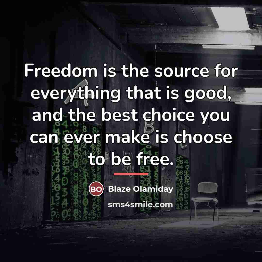 “Freedom is the source for everything that is good, and…” quote by Blaze Olamiday