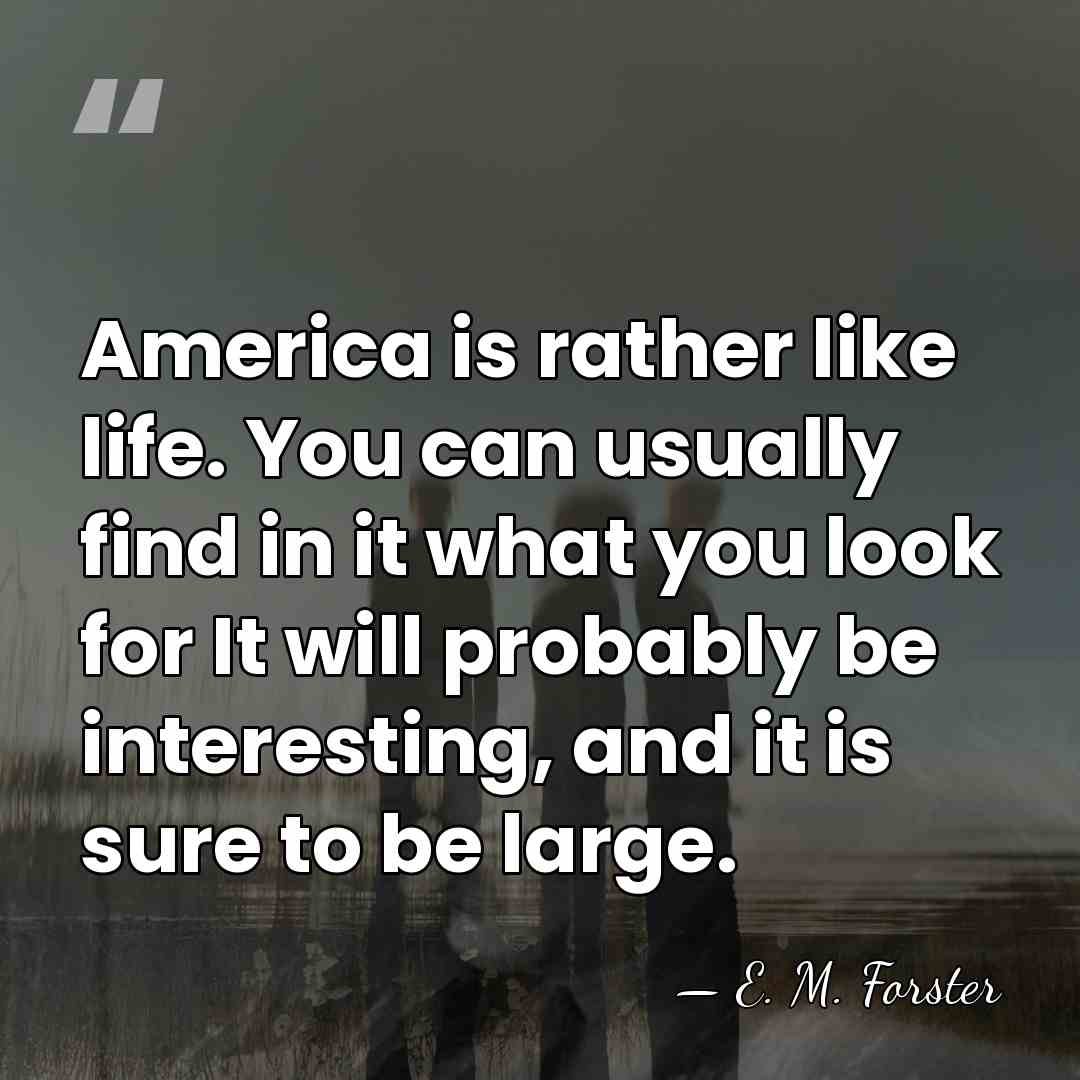 America is rather like life. You can usually find in it what&hellip; - E. M. Forster
