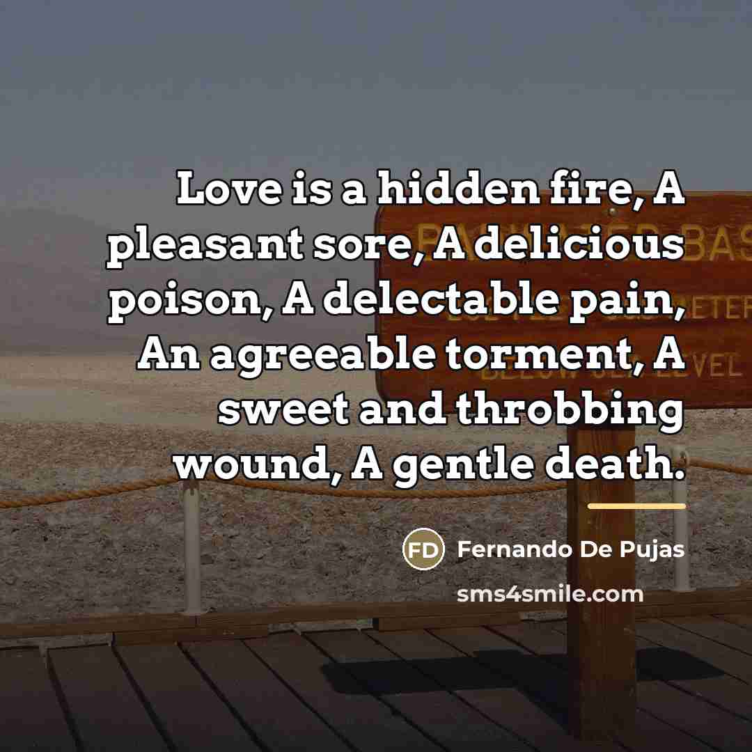 “Love is a hidden fire, A pleasant sore, A delicious…” quote by Fernando De Pujas