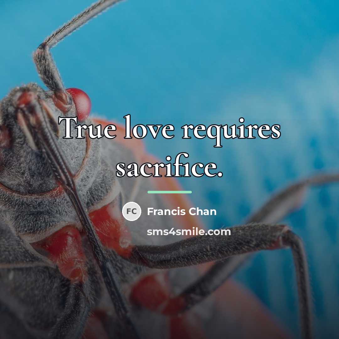 “True love requires sacrifice.…” quote by Francis Chan