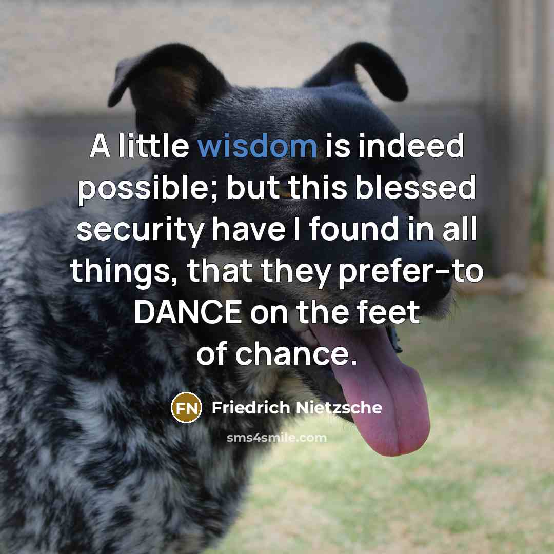 “A little wisdom is indeed possible; but this blessed security…” quote by Friedrich Nietzsche