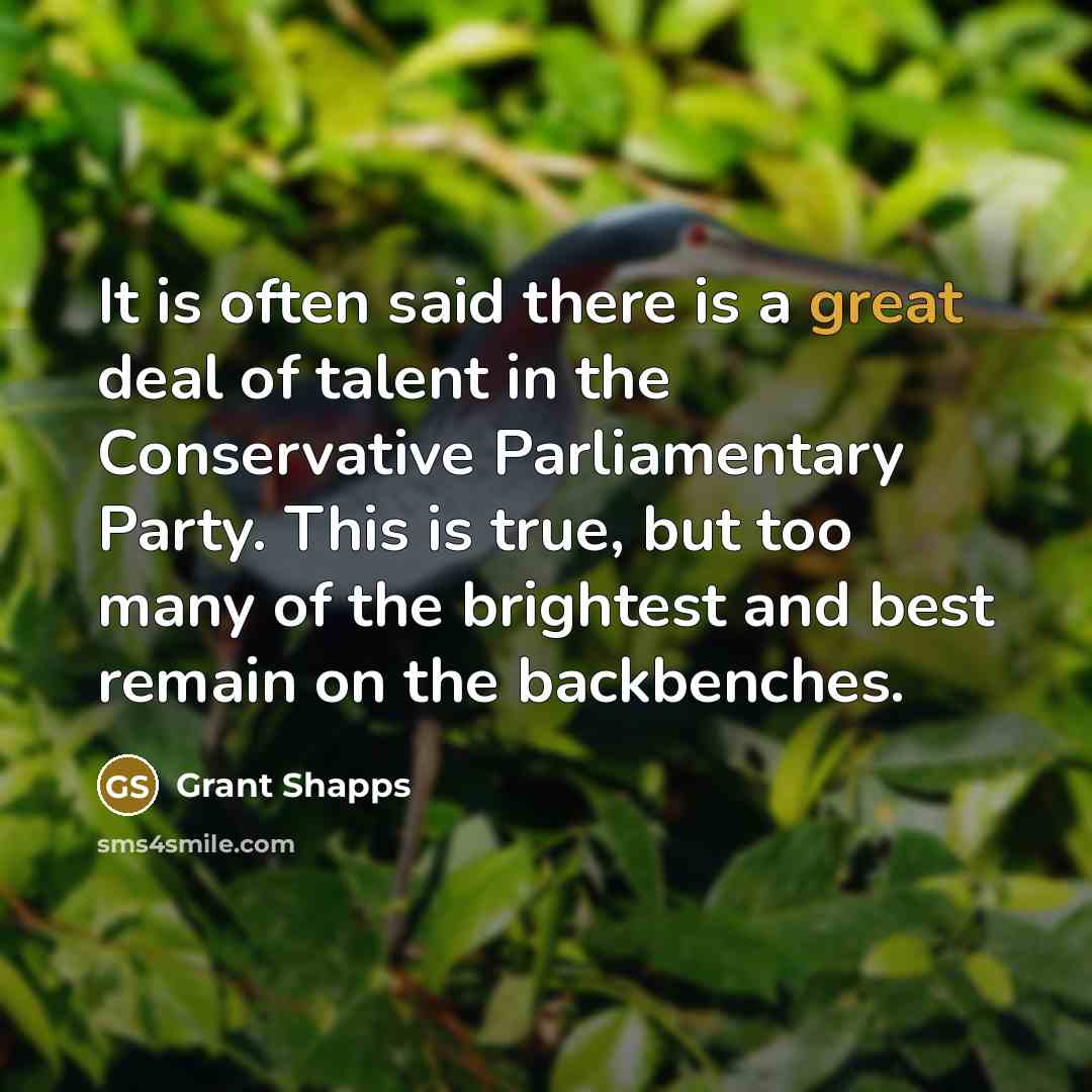 “It is often said there is a great deal of…” quote by Grant Shapps