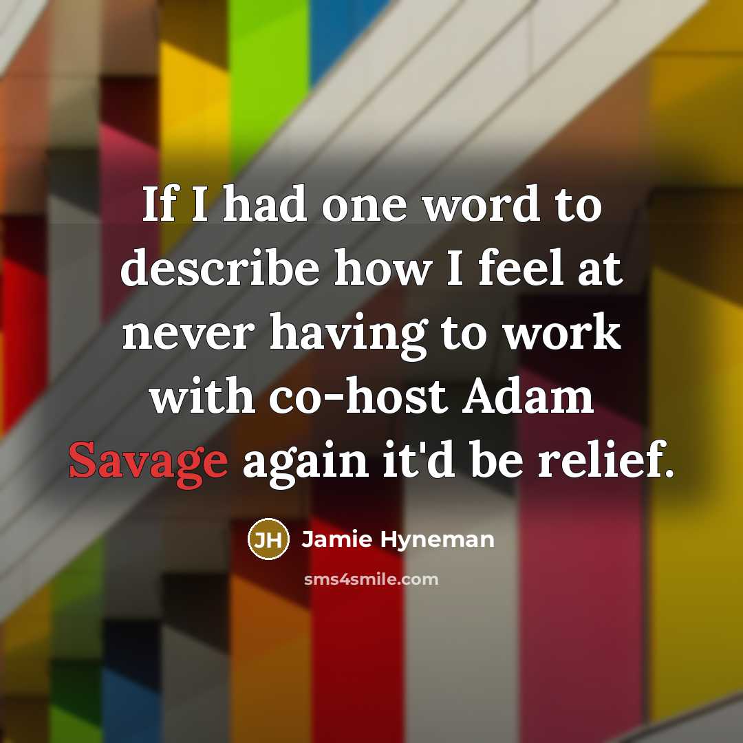 “If I had one word to describe how I feel…” quote by Jamie Hyneman