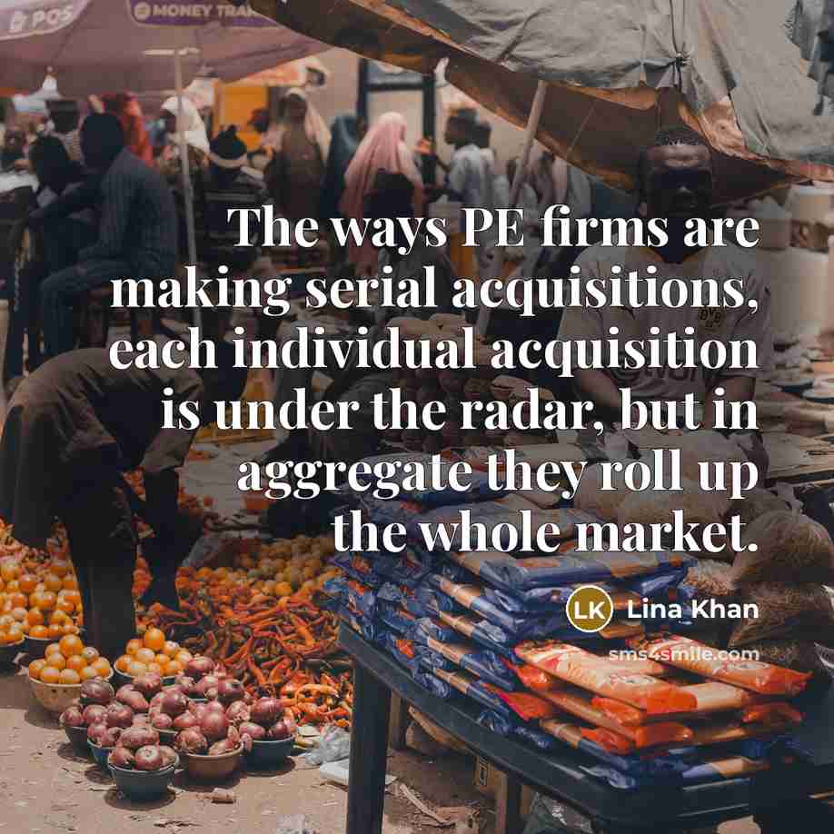 “The ways PE firms are making serial acquisitions, each individual…” quote by Lina Khan