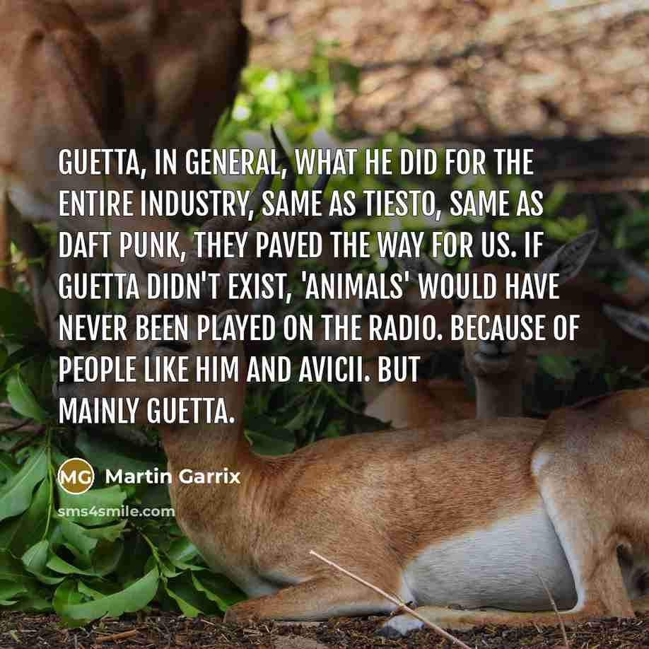“Guetta, in general, what he did for the entire industry,…” quote by Martin Garrix