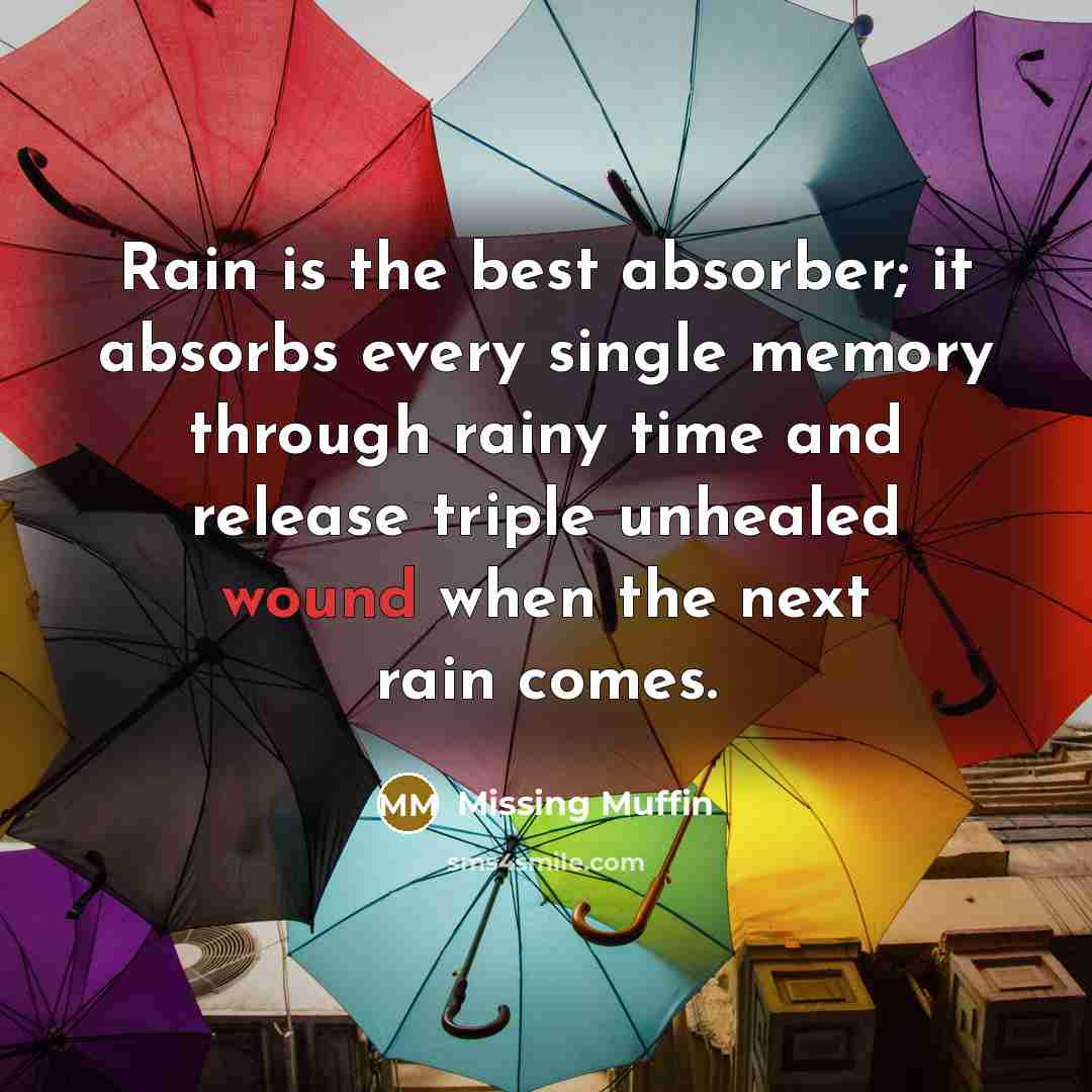 “Rain is the best absorber; it absorbs every single memory…” quote by Missing Muffin