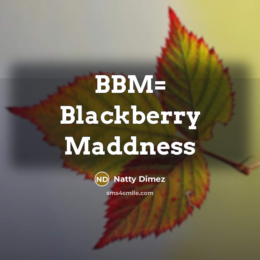 “BBM= Blackberry Maddness…” quote by Natty Dimez