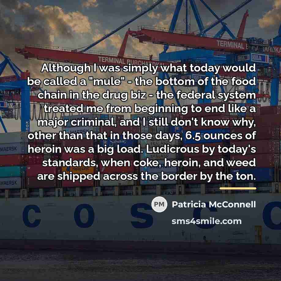 “Although I was simply what today would be called a…” quote by Patricia McConnell
