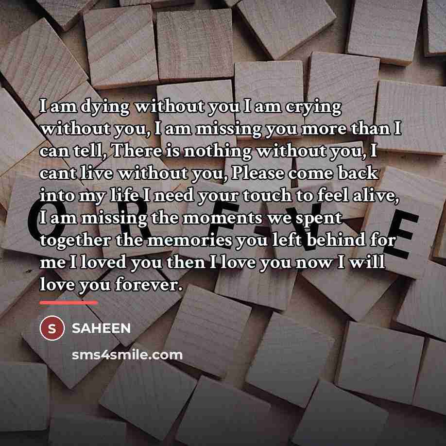 “I am dying without you I am crying without you,…” quote by Saheen