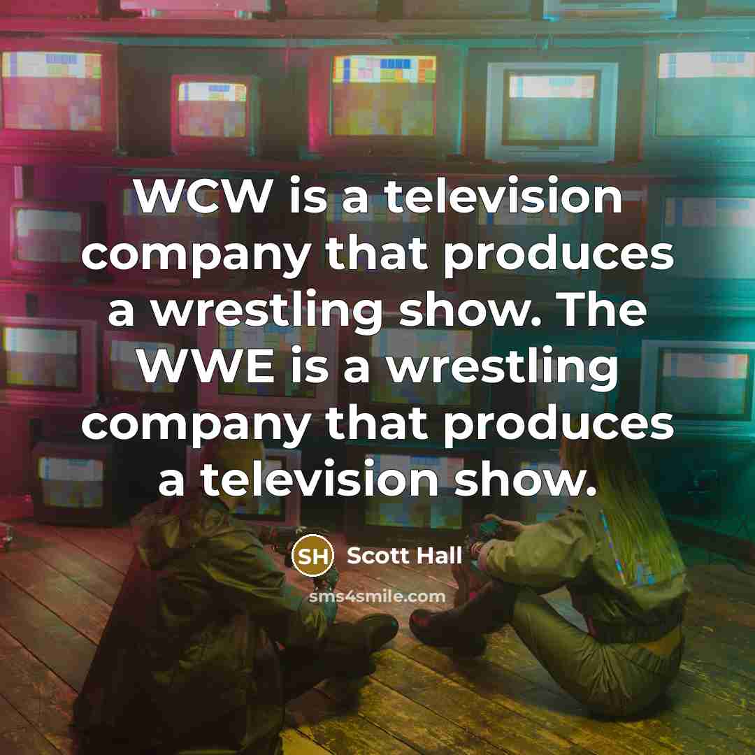 “WCW is a television company that produces a wrestling show.…” quote by Scott Hall