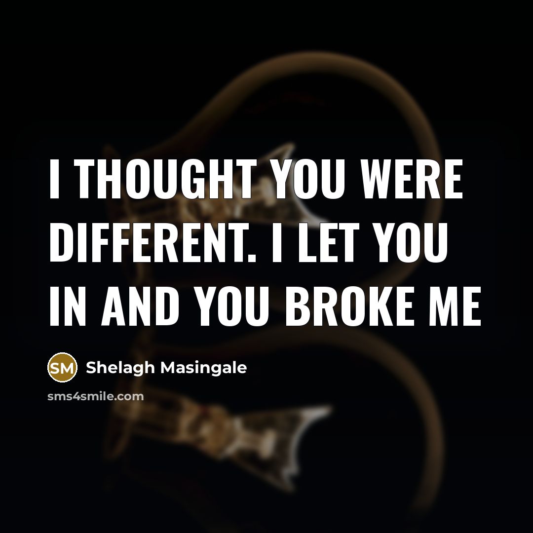 “I thought you were different. I let you in and you broke me” quote by Shelagh Masingale