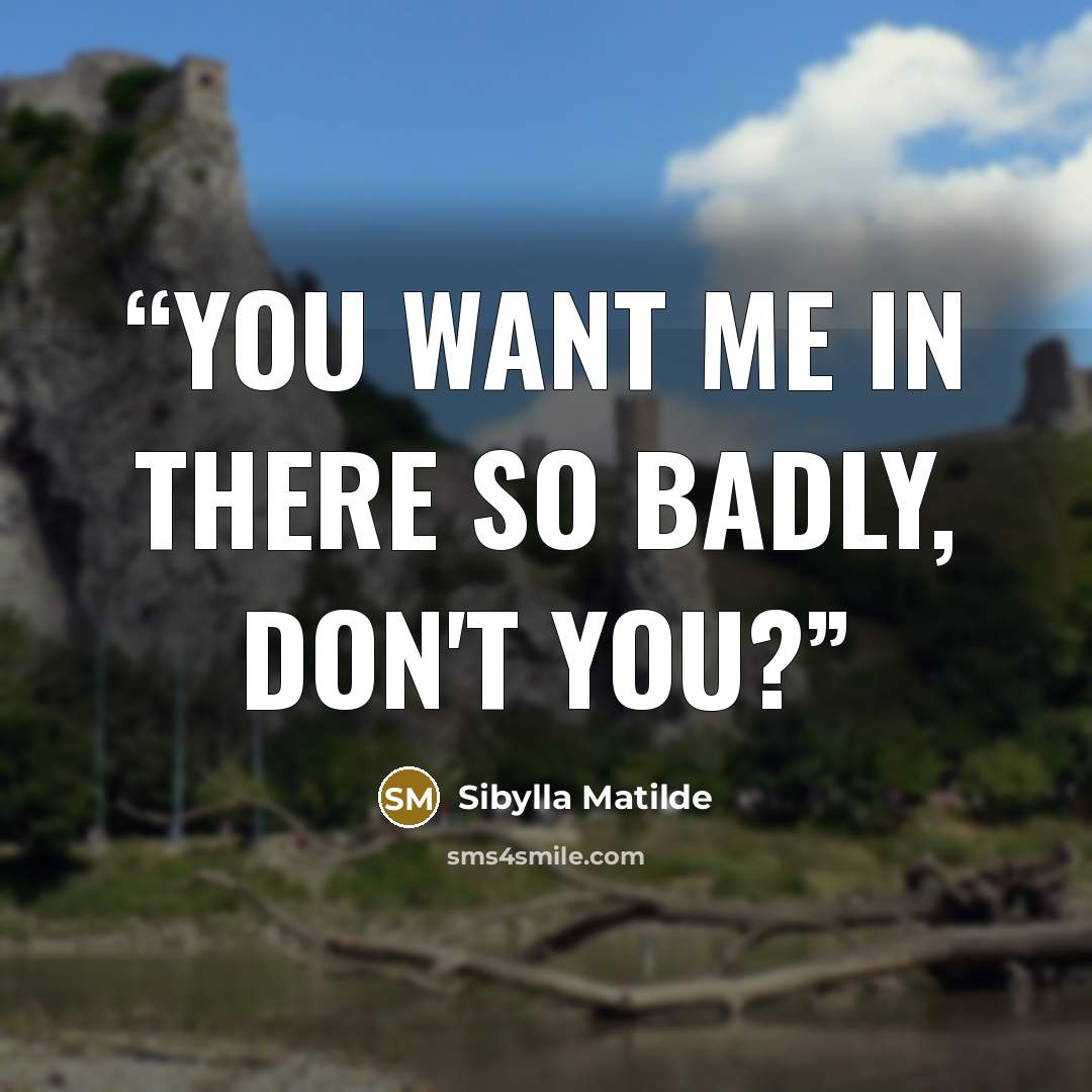“You want me in there so badly, don't you?” quote by Sibylla Matilde