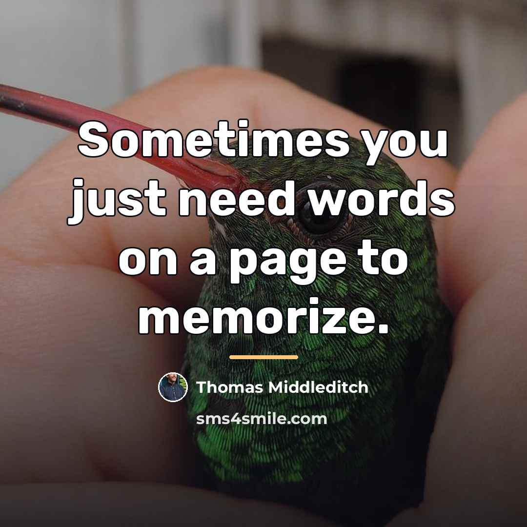 “Sometimes you just need words on a page to memorize.…” quote by Thomas Middleditch