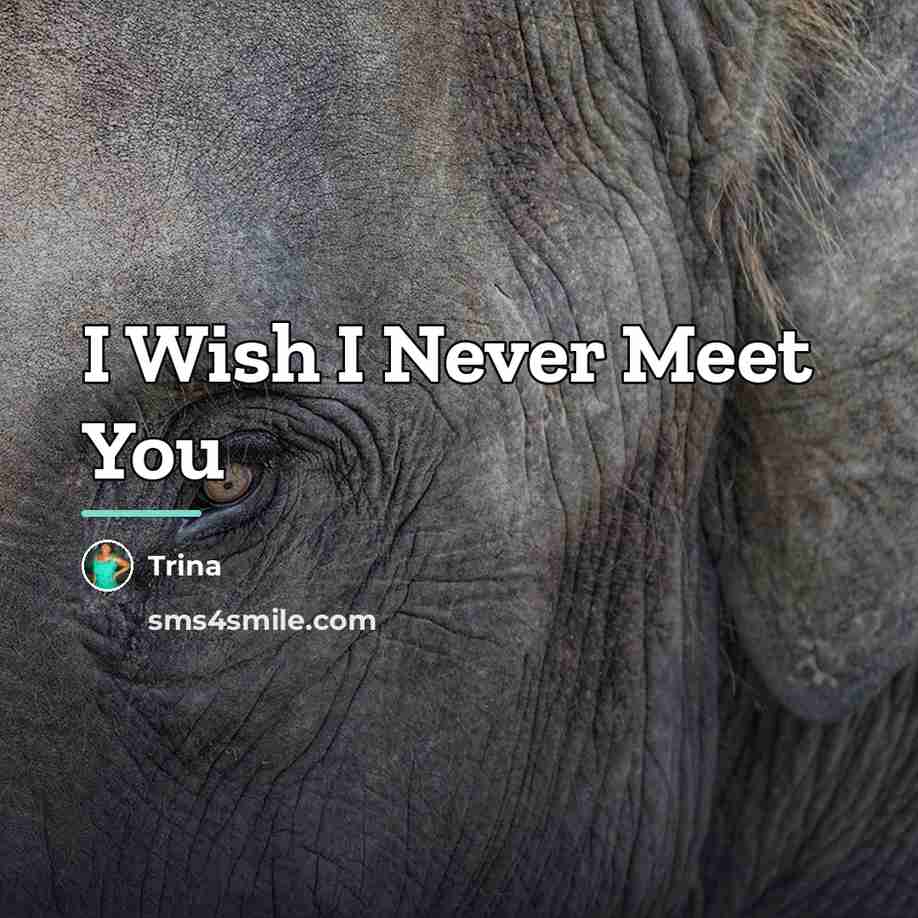 “I Wish I Never Meet You…” quote by Trina