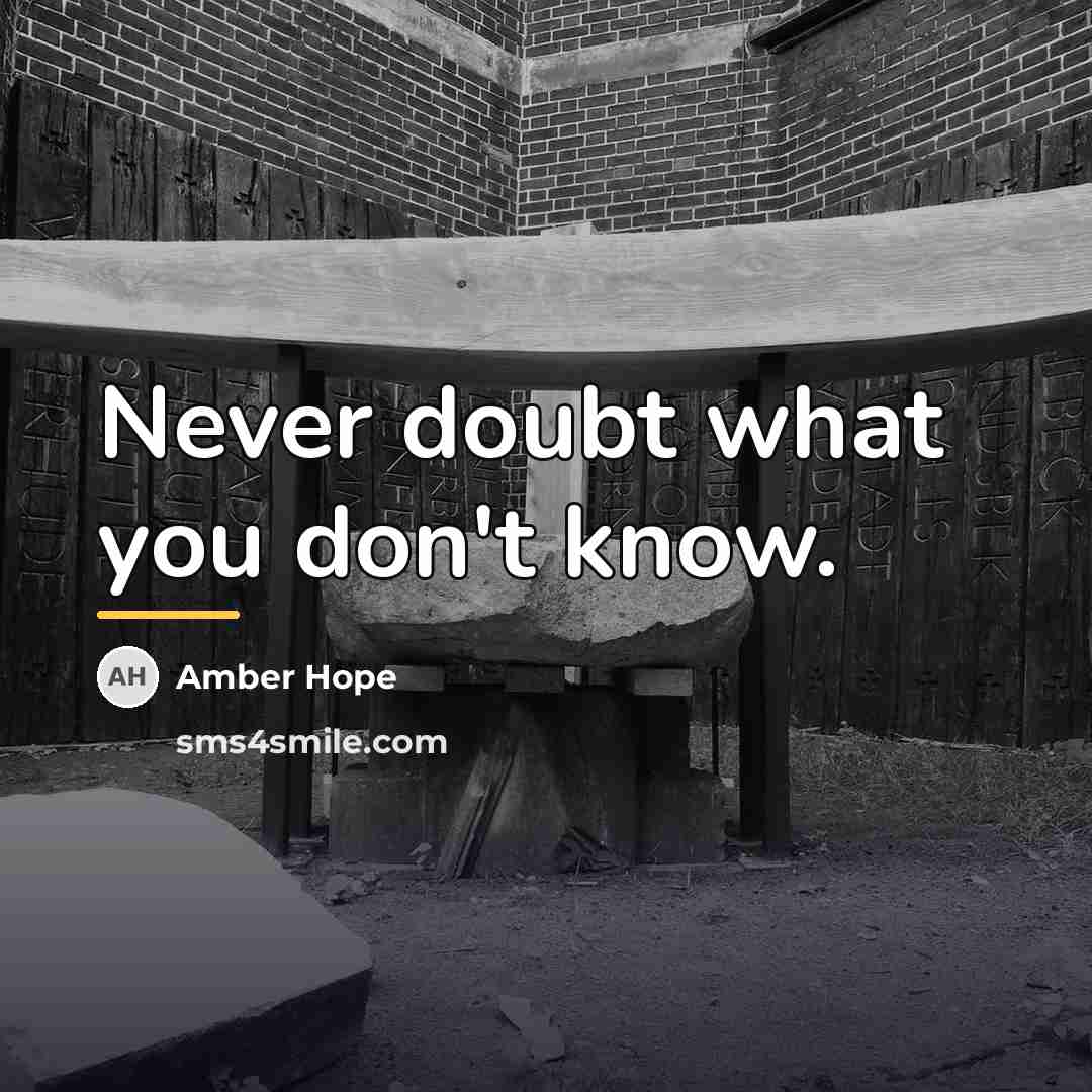 “Never doubt what you don't know.…” quote by Amber Hope