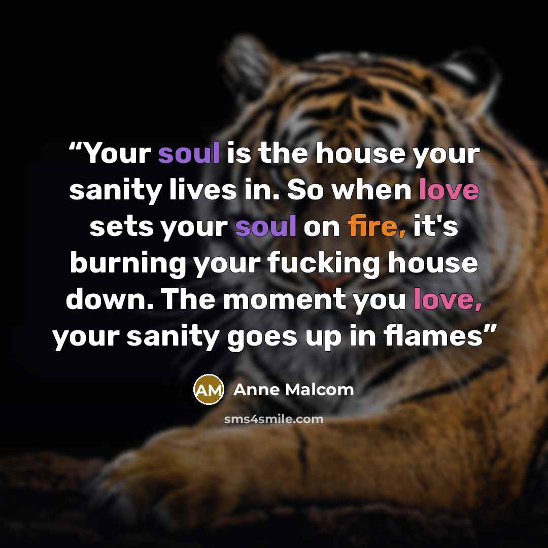“Your soul is the house your sanity lives in. So when love sets your soul on fire, it's burning your fucking house down. The moment you love, your sanity goes up in flames” quote by Anne Malcom
