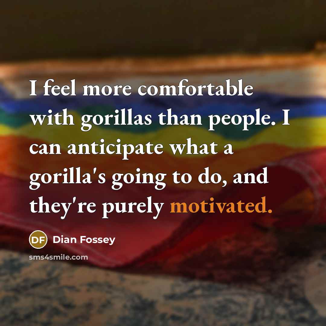 “I feel more comfortable with gorillas than people. I can…” quote by Dian Fossey