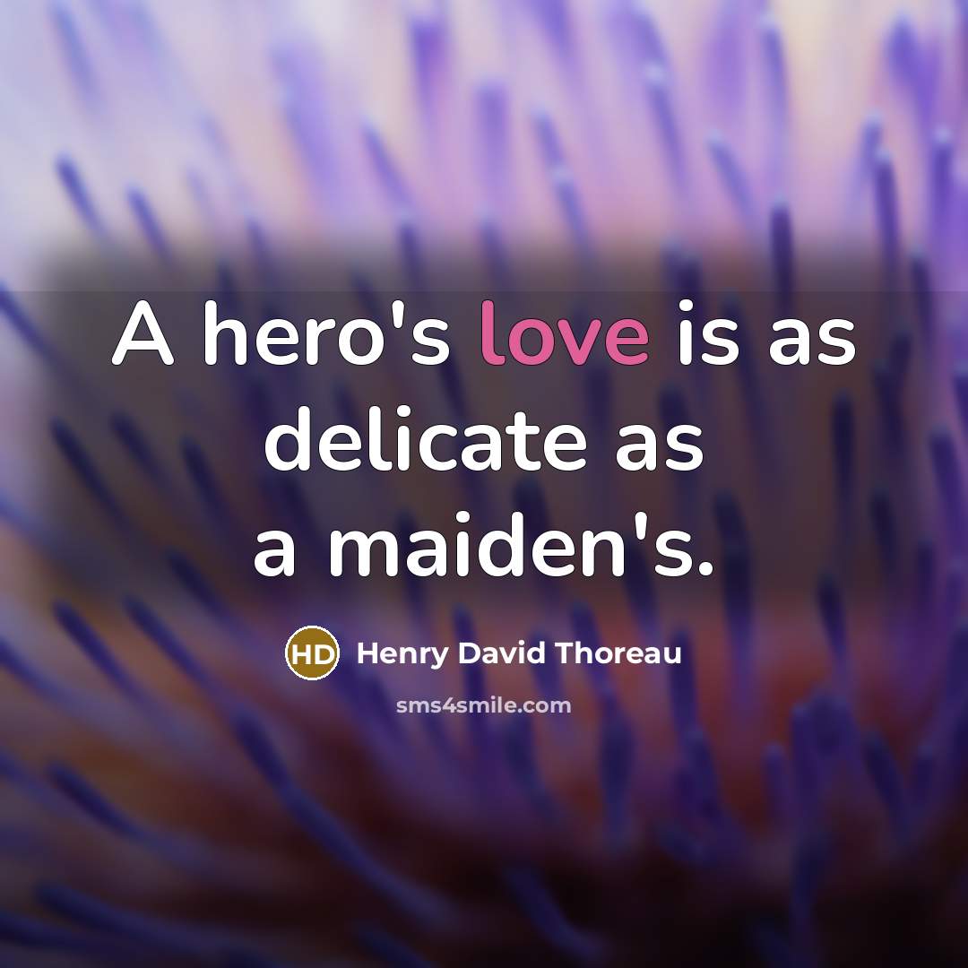 “A hero's love is as delicate as a maiden's.…” quote by Henry David Thoreau