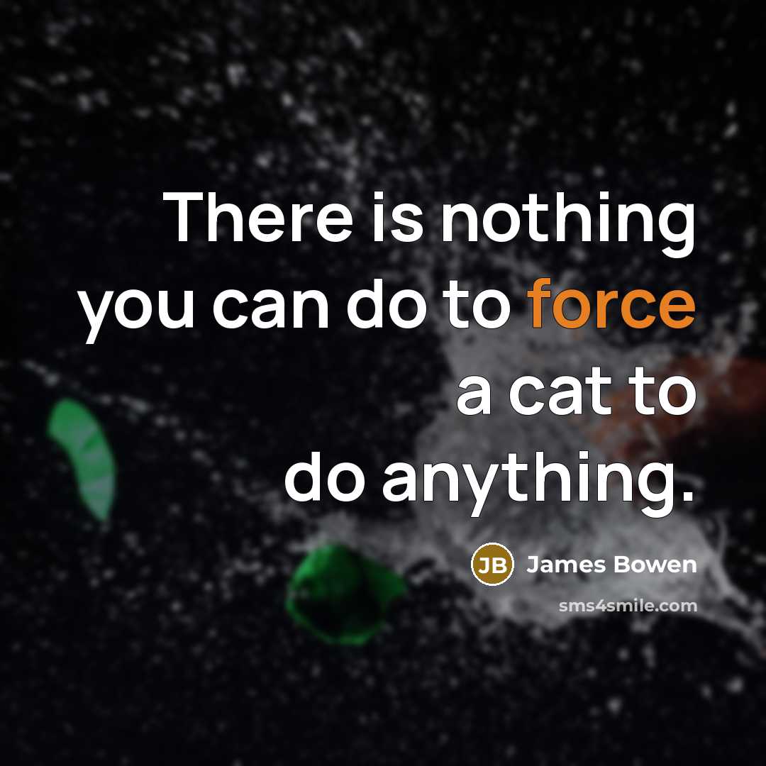 “There is nothing you can do to force a cat…” quote by James Bowen