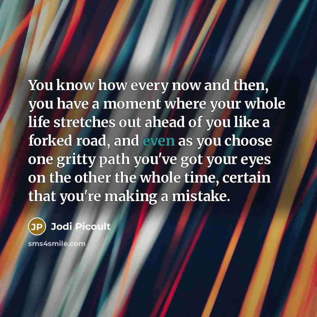 “You know how every now and then, you have a…” quote by Jodi Picoult