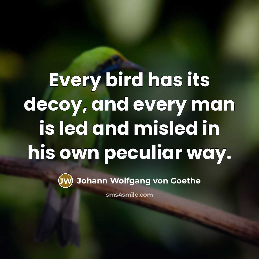 “Every bird has its decoy, and every man is led…” quote by Johann Wolfgang von Goethe