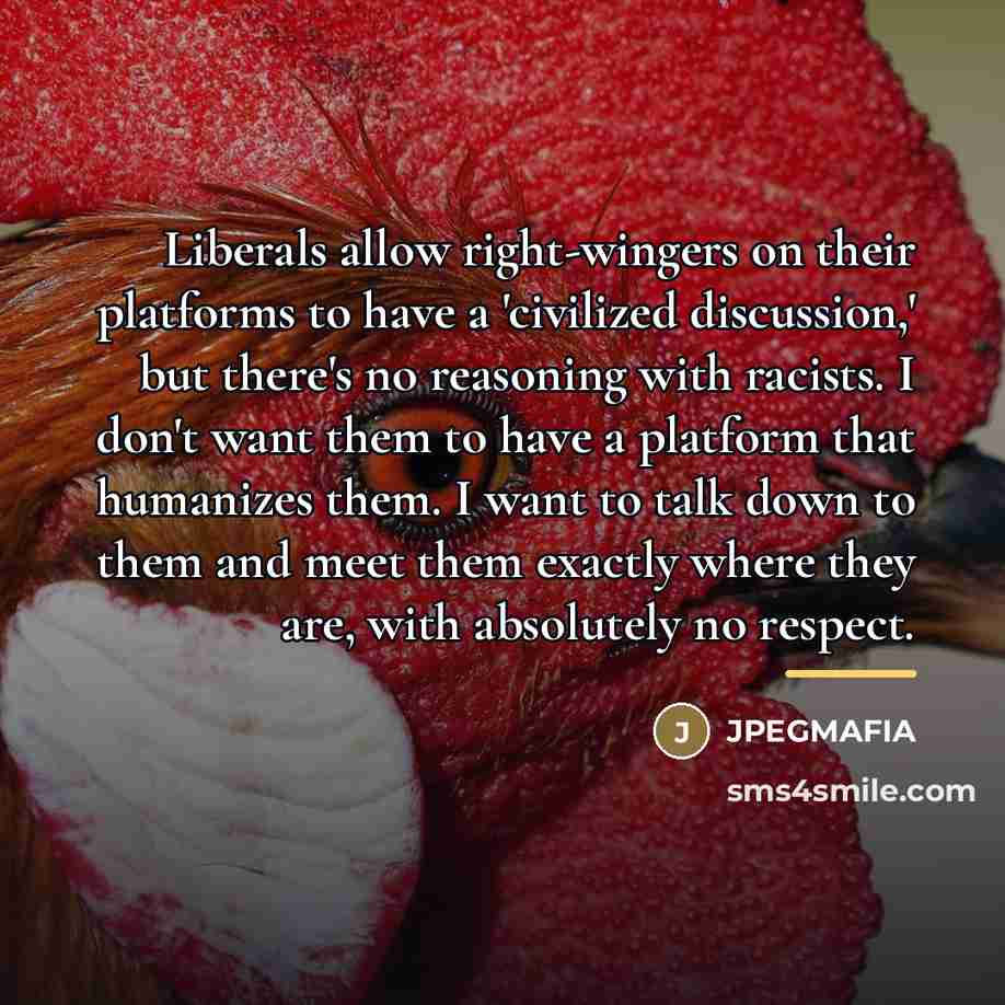 “Liberals allow right-wingers on their platforms to have a 'civilized…” quote by JPEGMAFIA