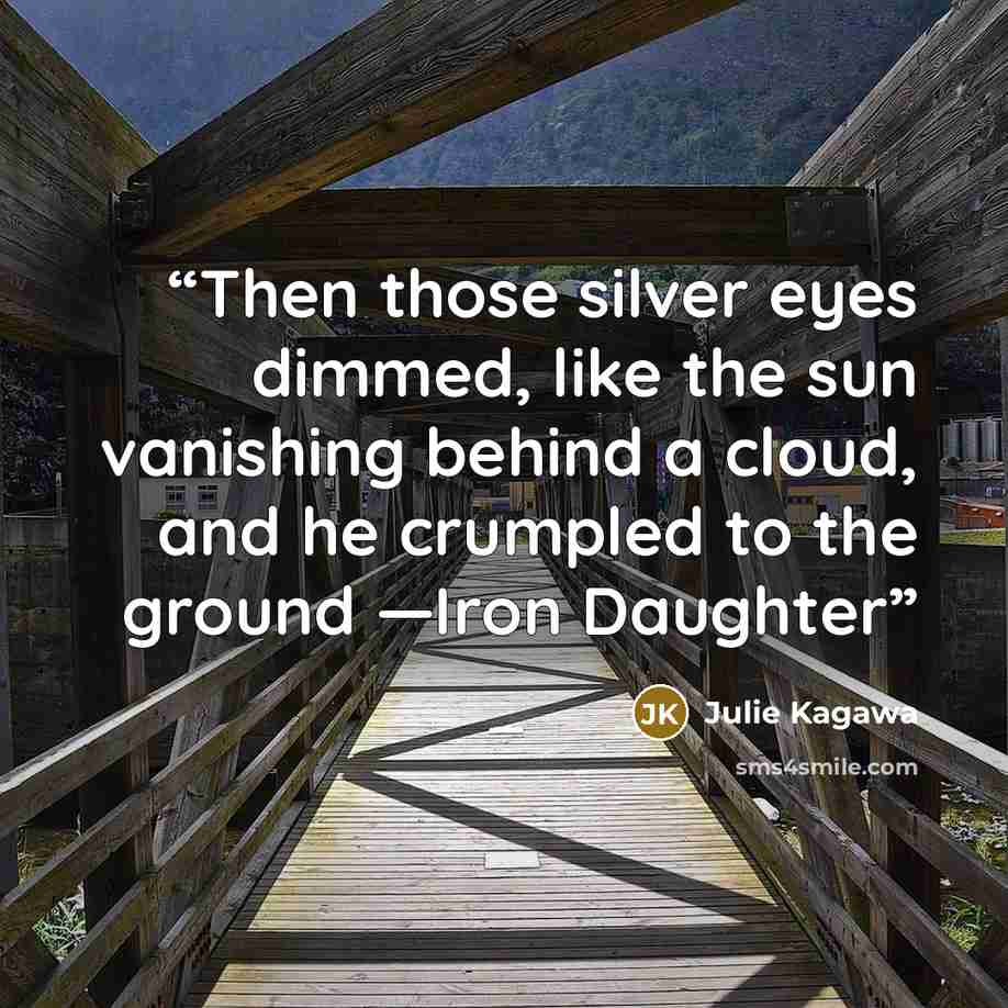 “Then those silver eyes dimmed, like the sun vanishing behind a cloud, and he crumpled to the ground —Iron Daughter” quote by Julie Kagawa