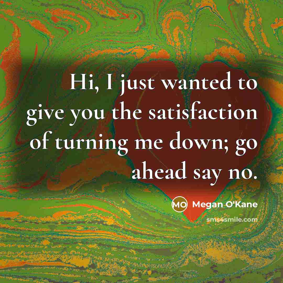 “Hi, I just wanted to give you the satisfaction of…” quote by Megan O'Kane