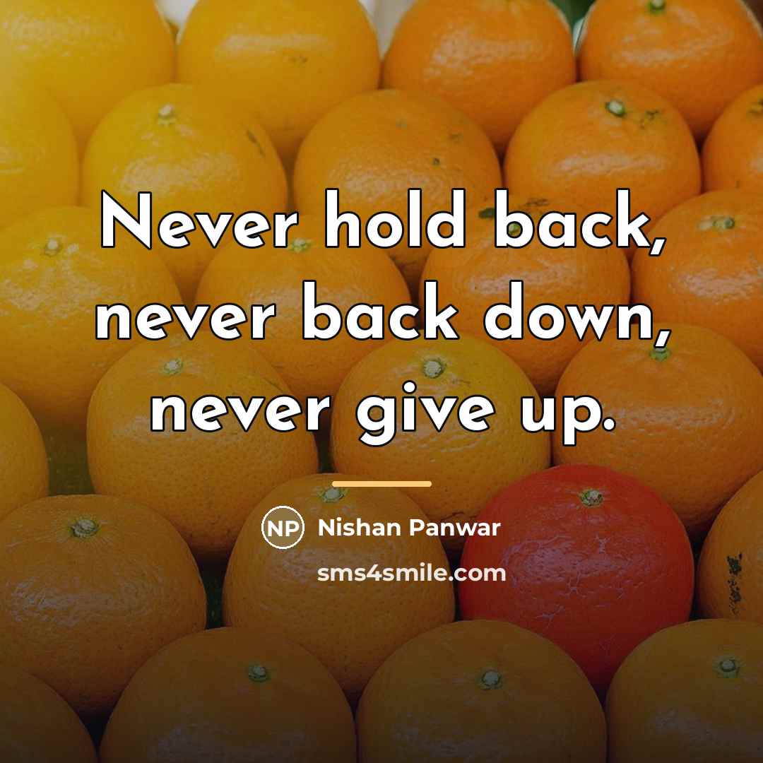 “Never hold back, never back down, never give up.…” quote by Nishan Panwar