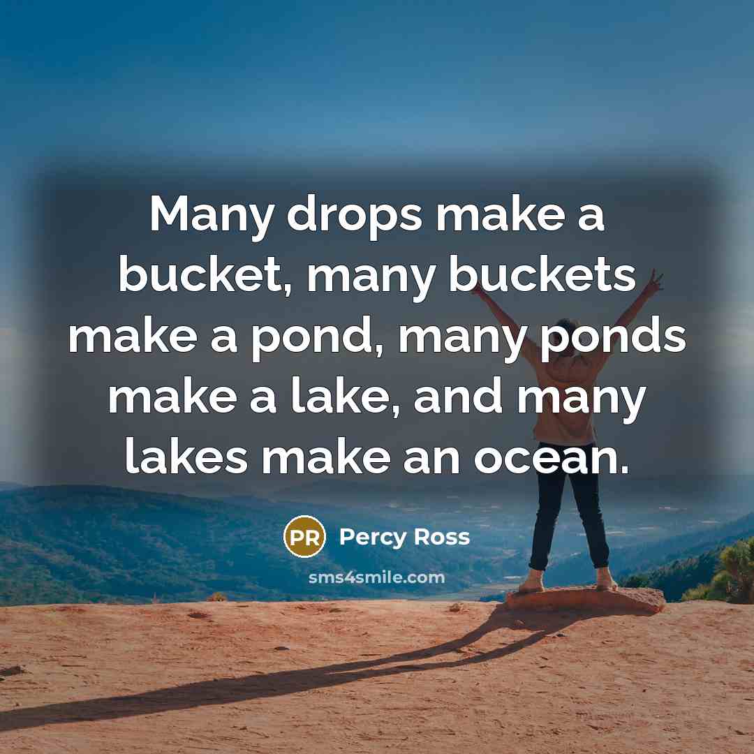 “Many drops make a bucket, many buckets make a pond,…” quote by Percy Ross
