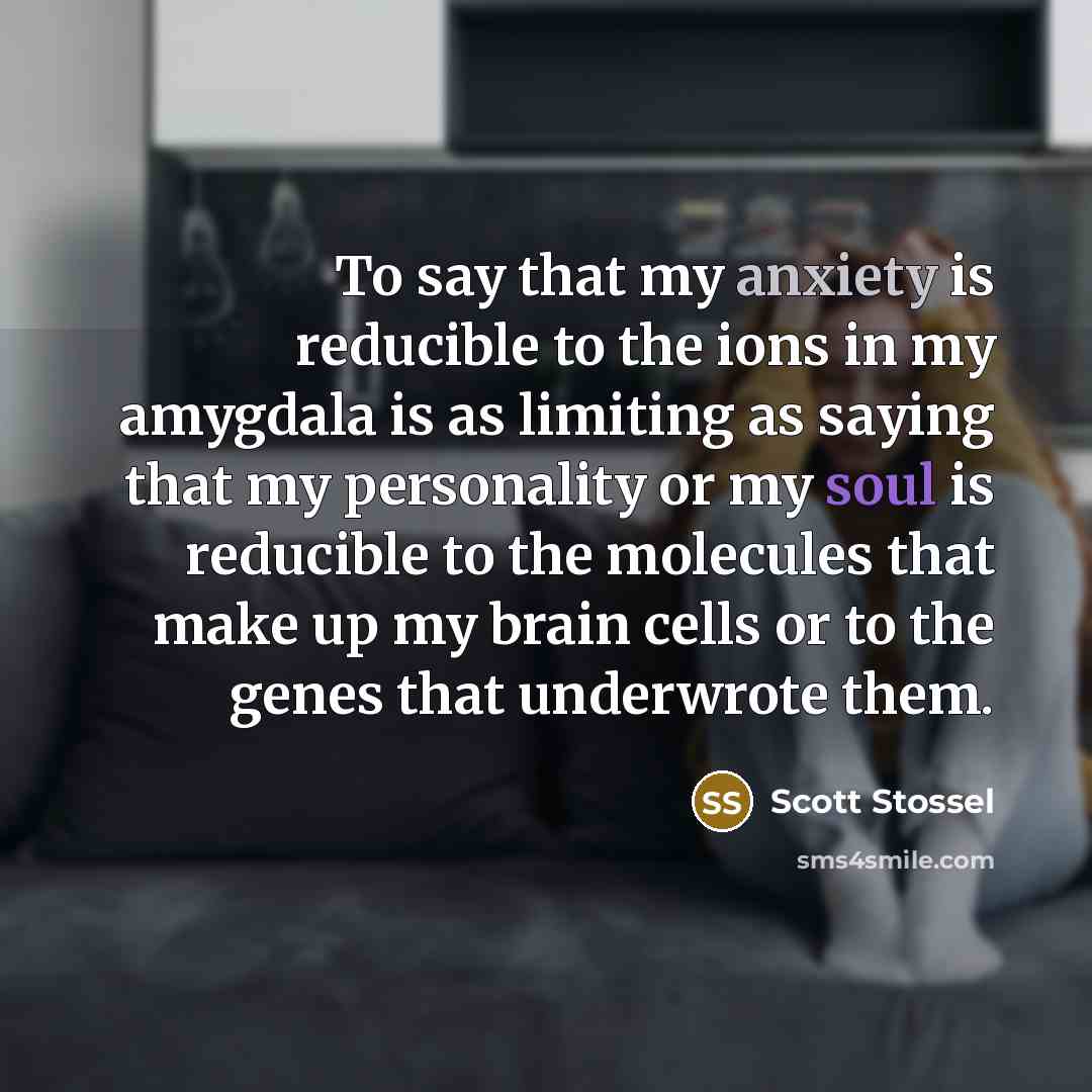 “To say that my anxiety is reducible to the ions…” quote by Scott Stossel