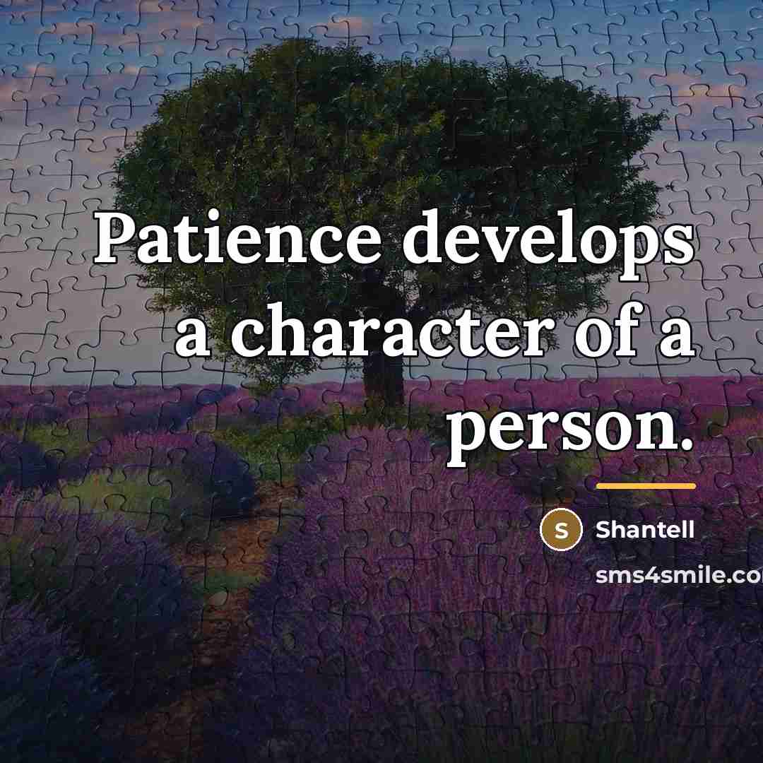 “Patience develops a character of a person.…” quote by Shantell