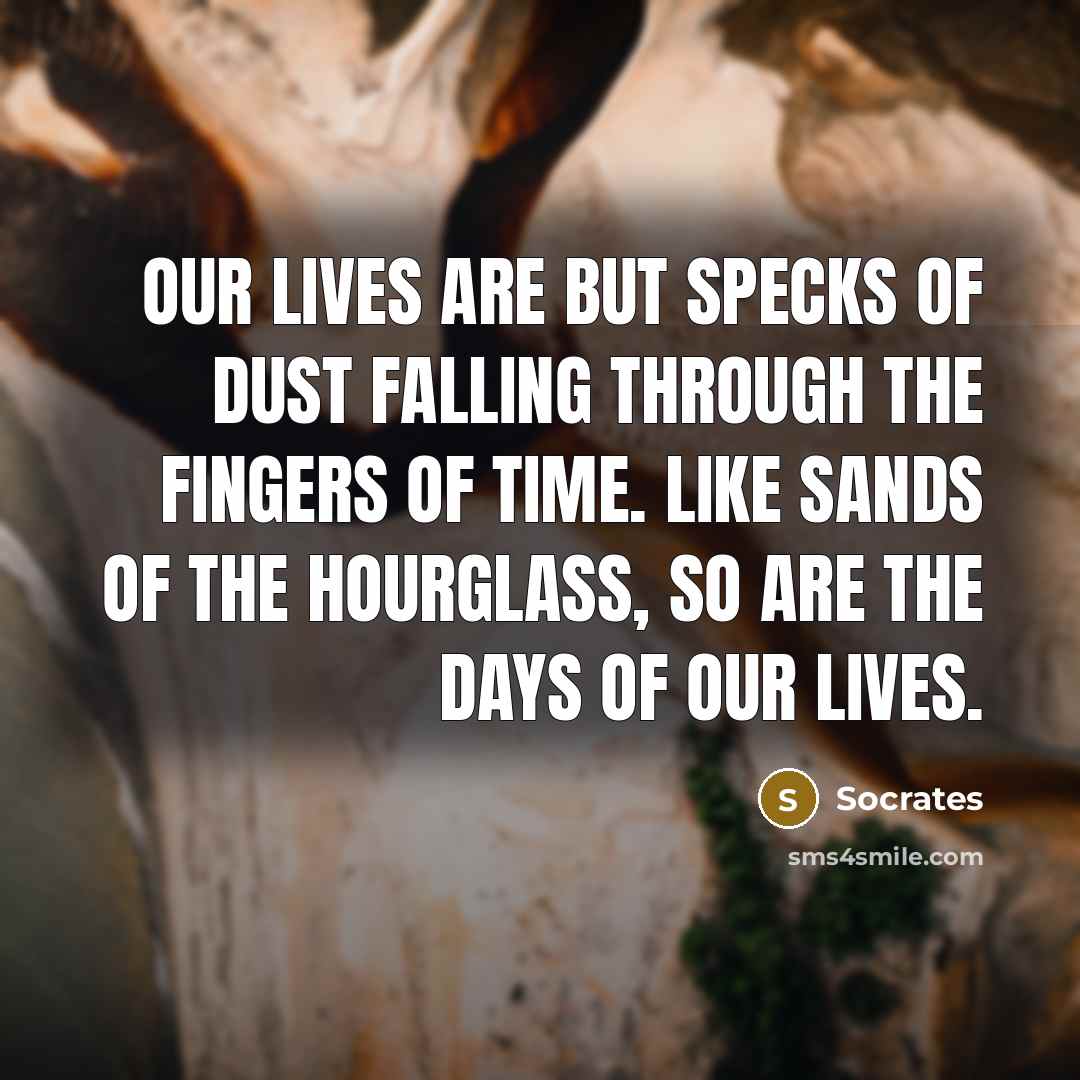 “Our lives are but specks of dust falling through the…” quote by Socrates