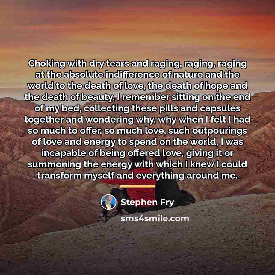 “Choking with dry tears and raging, raging, raging at the…” quote by Stephen Fry