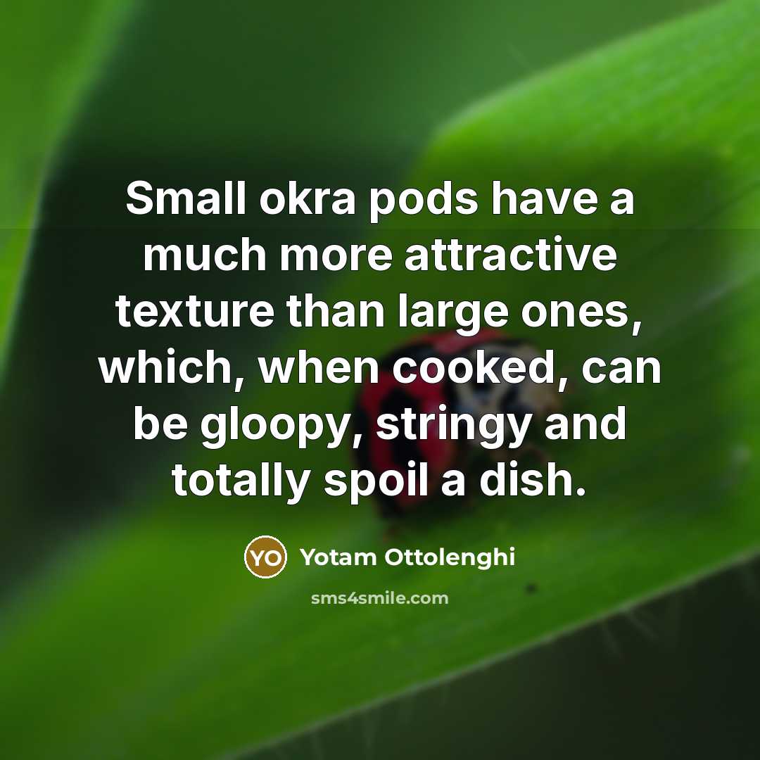 “Small okra pods have a much more attractive texture than…” quote by Yotam Ottolenghi