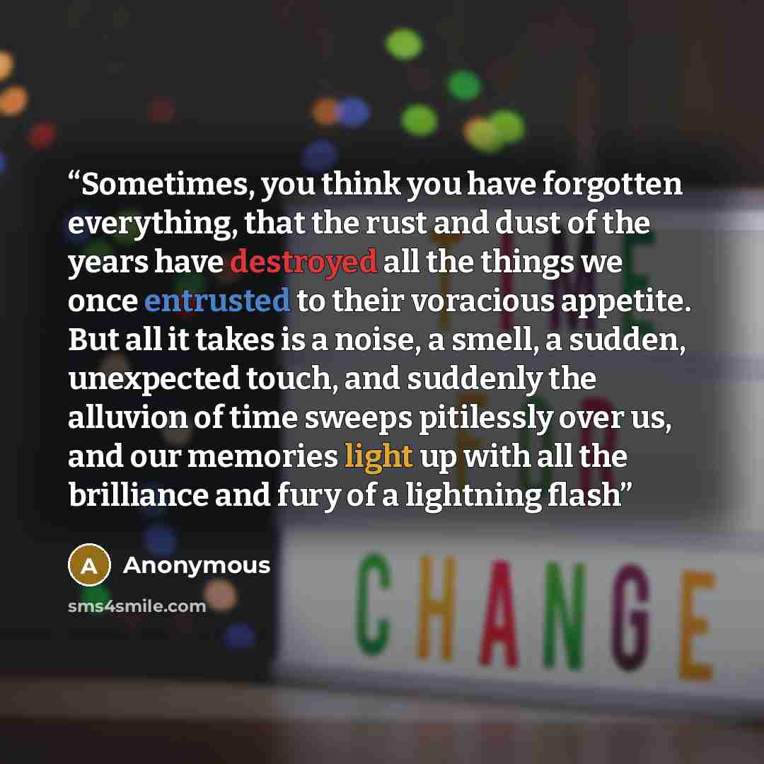 “Sometimes, you think you have forgotten everything, that the rust and dust of the years have destroyed all the things we once entrusted to their voracious appetite. But all it takes is a noise, a smell, a sudden, unexpected touch, and suddenly the alluvion of time sweeps pitilessly over us, and…” quote by Anonymous