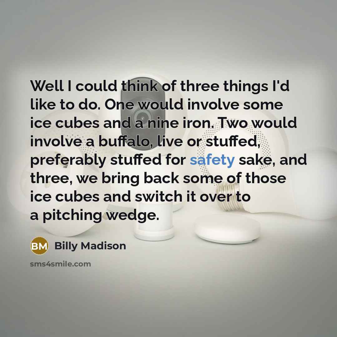 “Well I could think of three things I'd like to do. One would involve some ice cubes and a nine iron. Two would involve a buffalo, live or stuffed, preferably stuffed for safety sake, and three, we bring back some of those ice cubes and switch it over to a pitching wedge.” quote by Billy Madison
