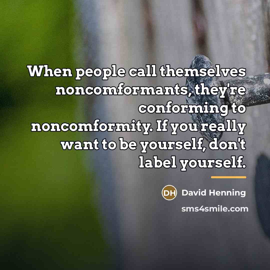 “When people call themselves noncomformants, they're conforming to noncomformity. If…” quote by David Henning