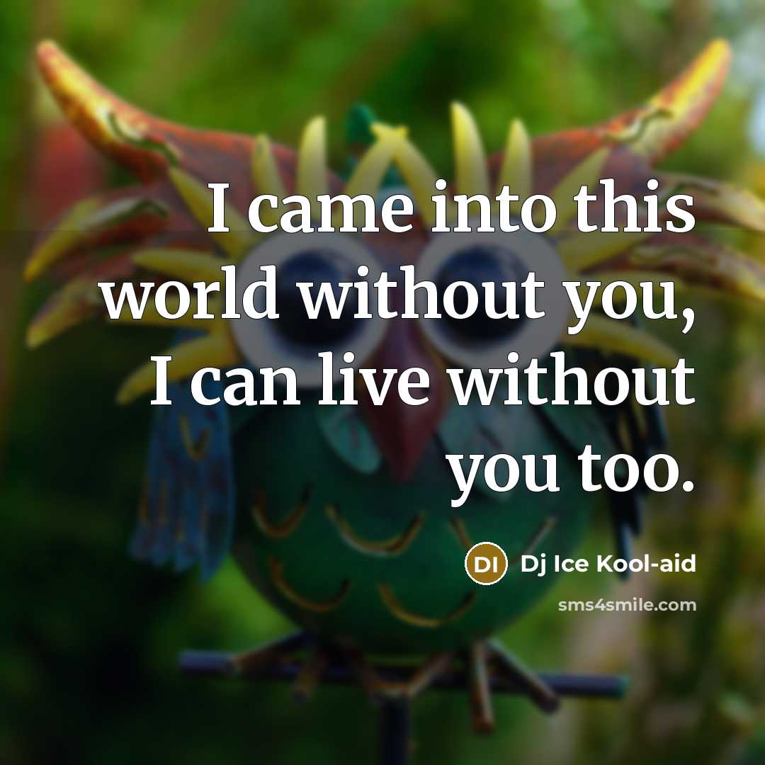 “I came into this world without you, I can live without you too.” quote by Dj Ice Kool-aid