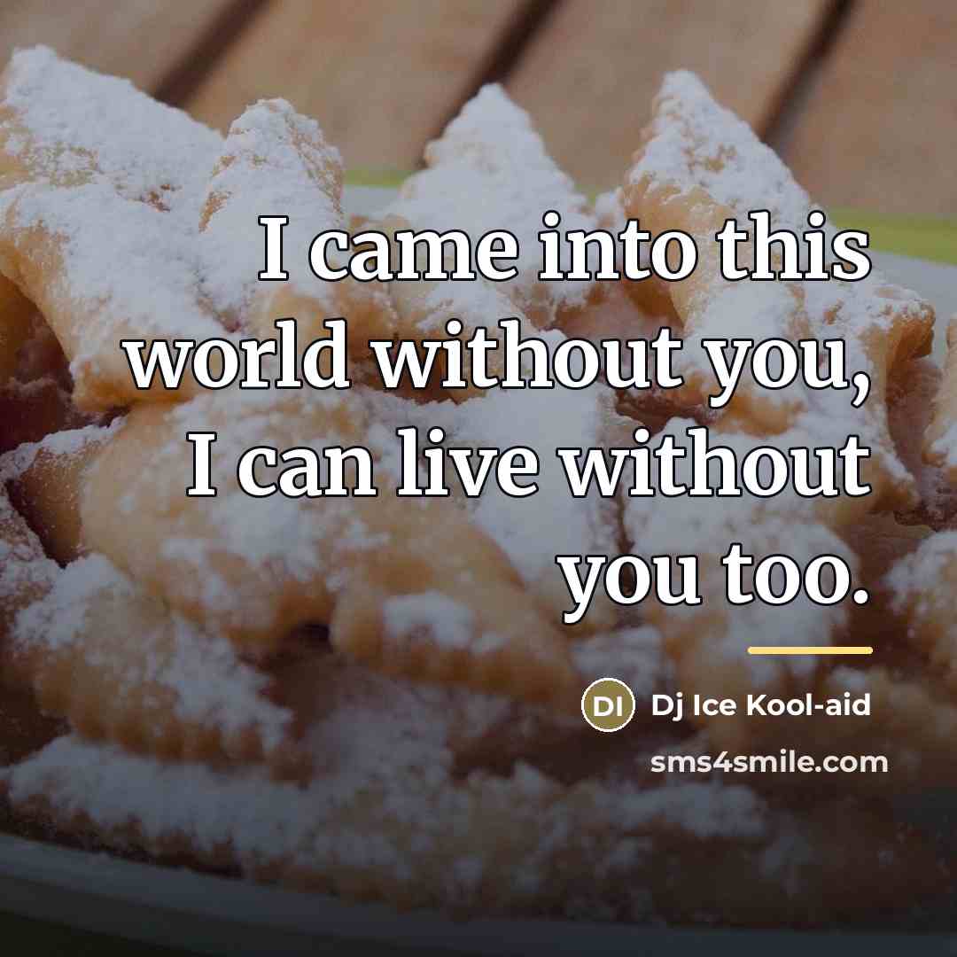 “I came into this world without you, I can live…” quote by Dj Ice Kool-aid