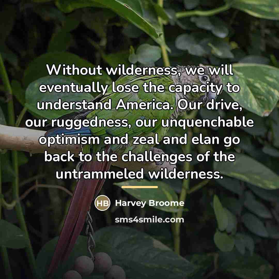 “Without wilderness, we will eventually lose the capacity to understand…” quote by Harvey Broome